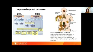 Нутритивна підтримка та регулювання імунної системи.