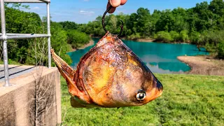 A STATE RECORD Fish is Living in This FLOODED Spillway!!! (New PB!!!)