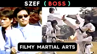 SZTUKI WALK, FILMY -  SZEF ( aka BOSS ). Lektor PL. Korean Martial Arts Drama.