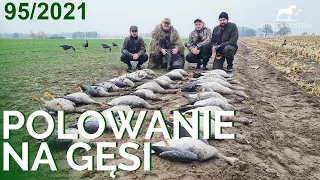 SUDECKA OSTOJA 95/2021. Geese Decoy Hunting in Poland