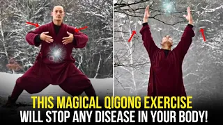 This Magical Qigong Technique Will Heal Every Cells In Your Body | Shi Heng Yi