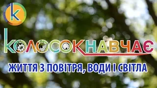 «КОЛОСОК» навчає. Життя з повітря, води і світла.