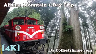 [4K] Taiwan Alishan Mountain 1 Day Trip Travel From Taipei (POV) Full Journey
