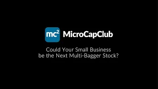 Could Your Small Business be the Next Multi Bagger Stock?