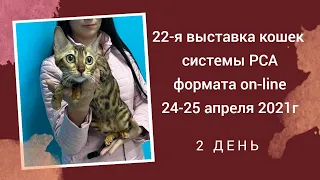 Выставка породистых кошек PCA 24-25.04.2021г. (день 2)