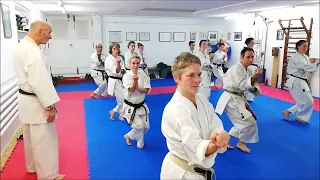 Karate-Do practice with grand-master Piacun Pavao 9-Dan - Tatsu Dojo Bern