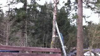 Epic Tree Cutting Fail