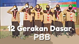 12 Gerakan Dasar PBB | Pramuka