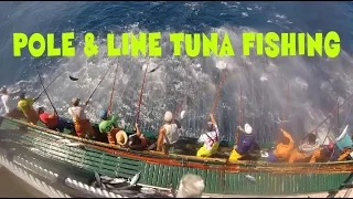 Pole & Line Tuna Fishing. Commercial Fishing.