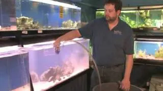 How to Clean Sand in a Fish Tank