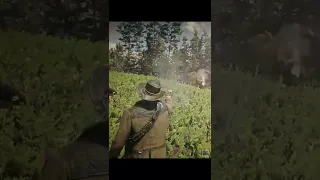 Rdr2 - Bear came to rescue Arthur Morgan #shorts