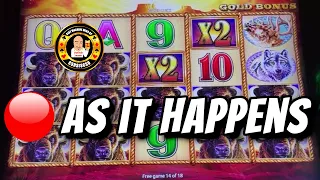 3 Bonuses -  1 Jackpot - LIVE As It Happens on Buffalo Gold