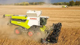 2 Claas Lexion's harvesting soybeans in Michigan!