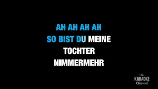 Der Hölle Rache in the Style of "Traditional" karaoke video with lyrics (no lead vocal)