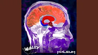 Moderate Stimulation (feat. Whaley) (Whaley Remix)
