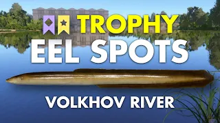 Russian Fishing 4 TROPHY EEL SPOT Volkhov River