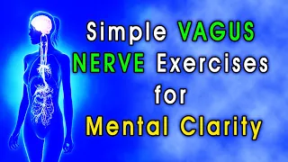 Vagus Nerve Activation Workout | Vagus Nerve Activation  10 Minute Daily Routines #yoga #calmmind