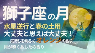 獅子座の月🌝大丈夫と思えば大丈夫‼️起こる出来事は全てあなたを強くする【春の土用入り】次の季節に備えて準備🍀今は、少し休みましょう