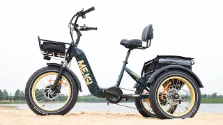 DWMEIGI MG2301 Best & Most Affordable Electric Tricycle (2023)