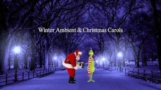 Winter Ambient and Christmas Carols with Santa & Mr. Grinch