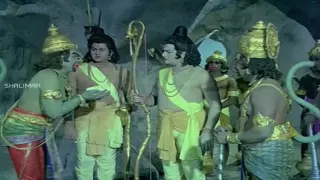 Sri Rama Pattabhishekam || N.T.Ramarao Search to Sangeeta Scene || NTR, Sangeeta || Shalimarcinema