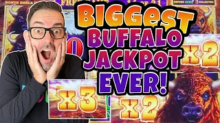 🤓 My BIGGEST JACKPOT EVER on BUFFALO LINK! 😎 Be a SMART Gambler + Wear Glasses!