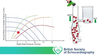 Level 1 - Volume assessment (part 1)