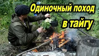 Одиночный поход в тайгу.Single trip to the taiga.