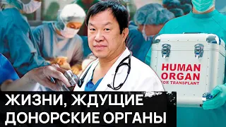 Индийское сердце стучит: история девочки, спасённой Юрием Пя