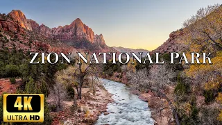 Zion National Park. Autumn - 4K Nature Documentary | Relaxation  Anti Stress Music