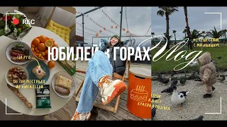 Приехали в СОЧИ | Обзор квартиры с АВИТО | Краснополянский МЕРЧ