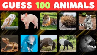 Guess 100 Animals in 3 Seconds 🦁🐼🐵 | Easy to Impossible|| Facta Quota