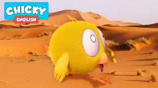 Where's Chicky? 🌵 THE DESERT | Chicky Cartoon in English for Kids