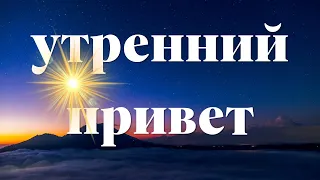 К тебе летит мой утренний привет