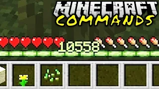 500.000.000 XP-POINTS! | Minecraft Commands #23 | ConCrafter