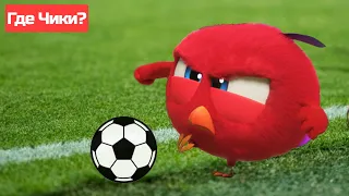 Где Чики? 🐥 Chicky НОВАЯ СЕРИЯ! | ФУТБОЛЬНЫЙ МАТЧ ⚽ Сборник мультфильмов на русском языке