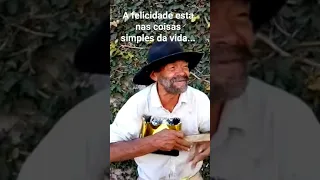 Zé da lata ao vivo