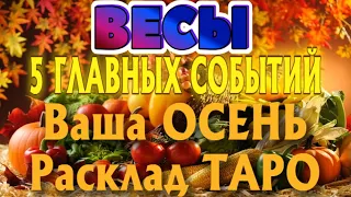 ВЕСЫ ♎ ВАША ОСЕНЬ 5 Главных СОБЫТИЙ Таро Прогноз гадание онлайн Angel Tarot