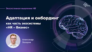 Адаптация и онбординг как часть экосистемы HR — бизнес | Александр Захаров. Экосистемное мышление HR