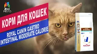Корм для кошек ROYAL CANIN GASTRO | Обзор Корма для кошек ROYAL CANIN GASTRO