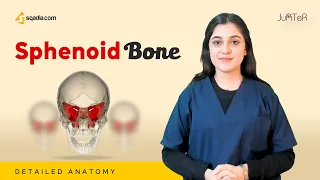 Sphenoid Bone | Cranial Osteology | Anatomy Lecture for Medical Students | V-Learning™