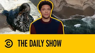 California Oil Spill Leads To Environmental Disaster | The Daily Show With Trevor Noah