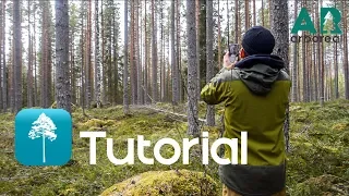 Tutorial - Arboreal Height Of Tree