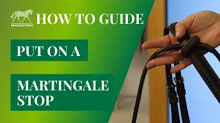 How to put on a martingale stop