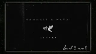 hammali & navai – птичка [slowed & reverb] prod. by nedug