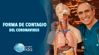 FORMA DE CONTAGIO DEL CORONAVIRUS - HACIA UN NUEVO ESTILO DE VIDA