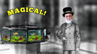 If You Think Your Fish Tank Is Advanced, Wait Until You See What People Did In The 1800s