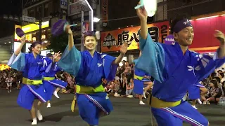 Koenji Awa Odori, v1, the Summer Street Dance Festival in Tokyo, Japan