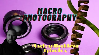 Macro Photography in my #backyardlockdown - Episode 4