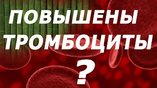 Повышение тромбоцитов. Причины, как быть.